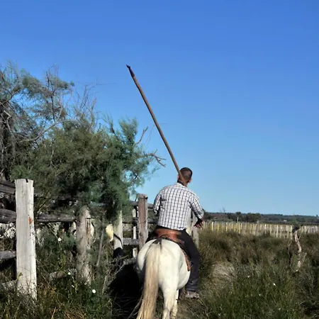 Le Cabestan - Proche De La * Le Grau-du-Roi