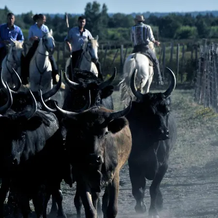 Le Cabestan - Proche De La Apartmán