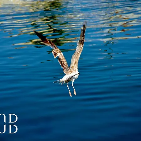 Le Cabestan - Proche De La Apartmán